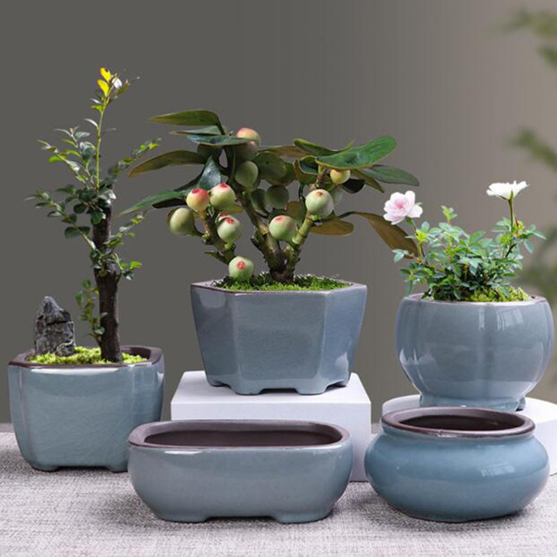 Bonsai Garden Kit - Pot de fleur en céramique rétro,