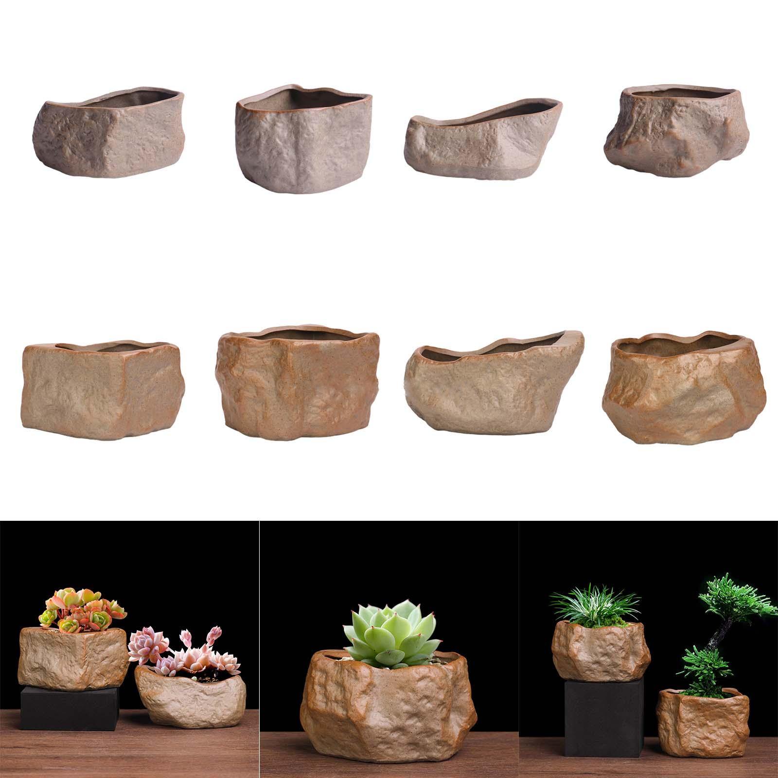 Training Pot Ceramic - Pot succulent en céramique en forme