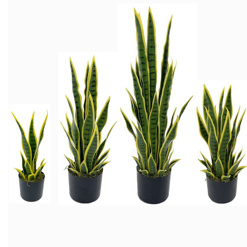 Bonsai Garden Kit - Plante artificielle Sansevieria (Serpentine) de 40-100
