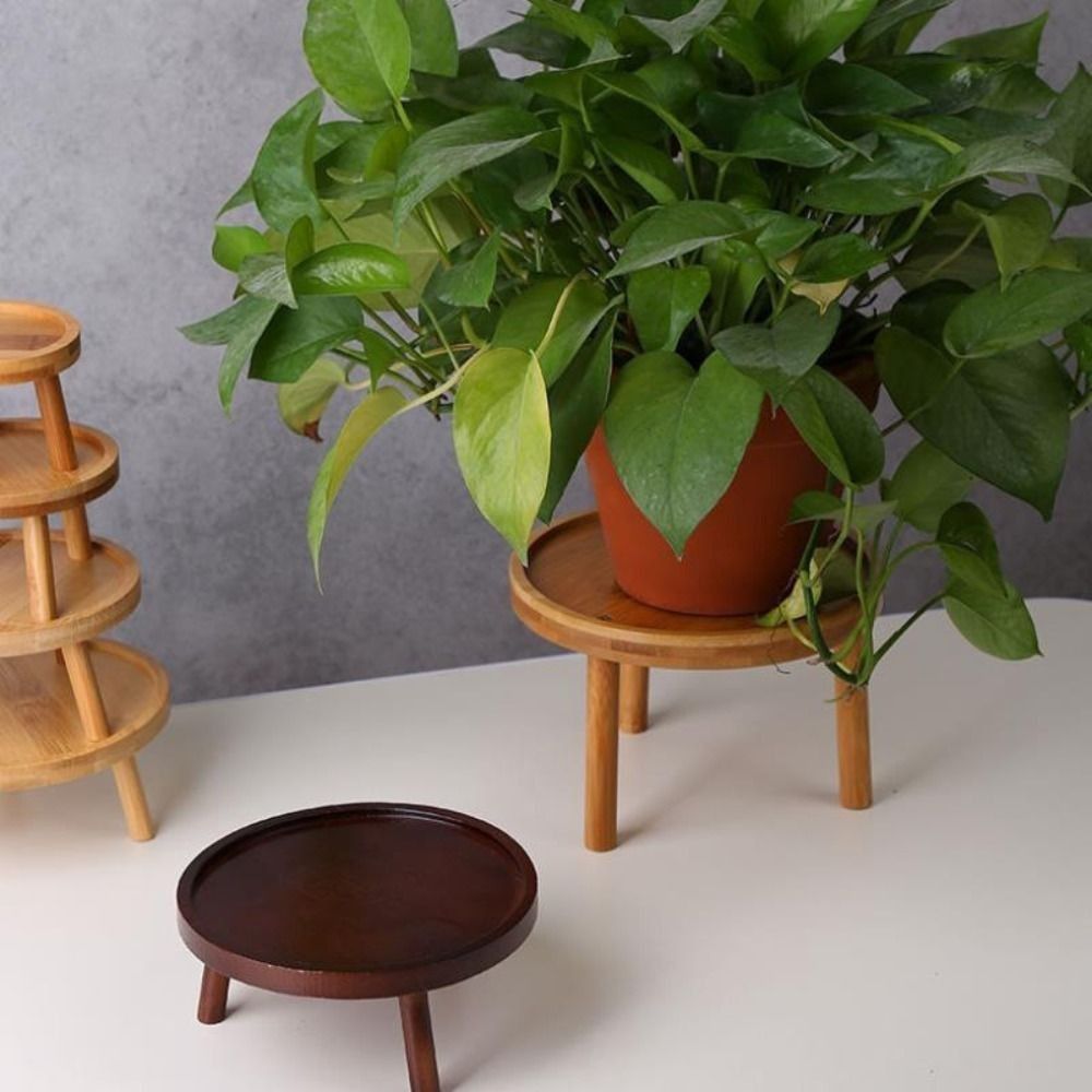 Bonsai Garden Kit - Support de pot de fleurs créatif