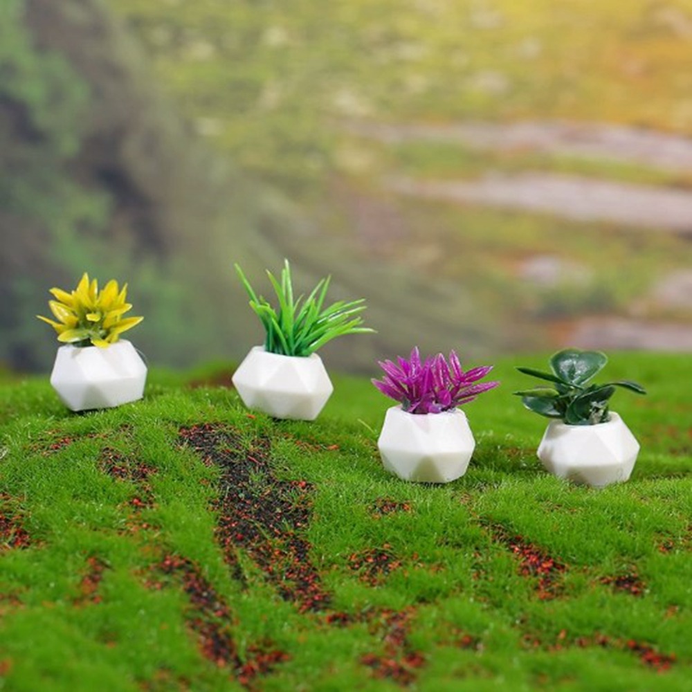 Bonsai Garden Miniature - Plante Miniature en Pot pour maison