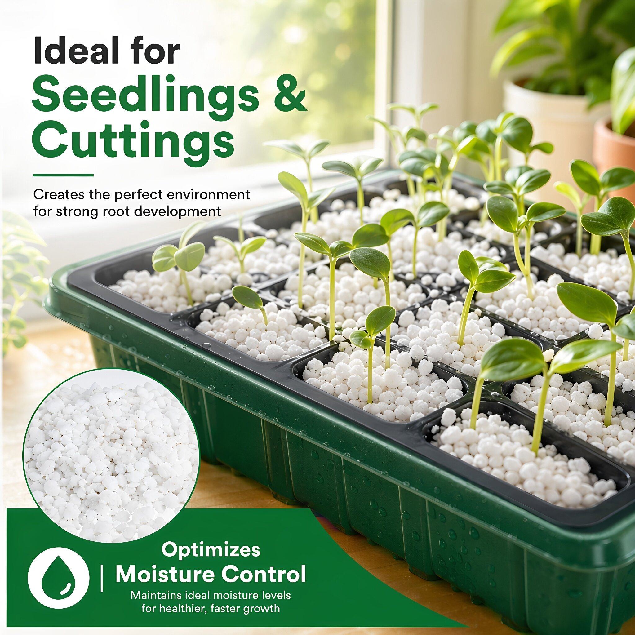 Perlite : Conditionneur de Sol - Horticulture Soil Perlite avis et prix