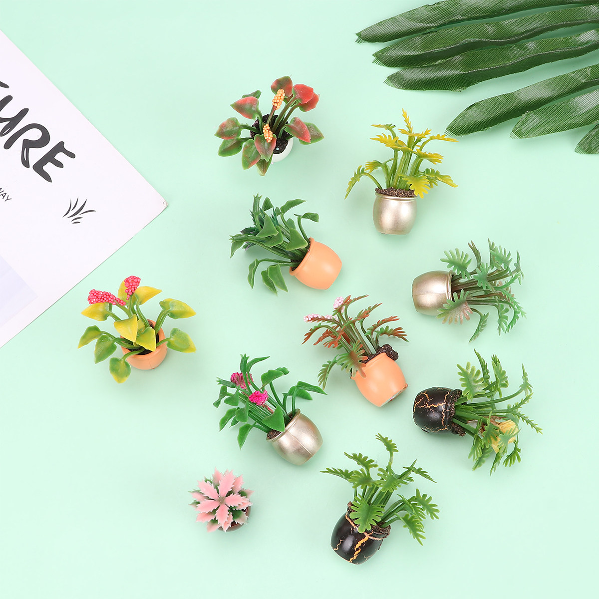 10 pièces de mini bonsaïs colo - Bonsai Garden Europe avis et prix