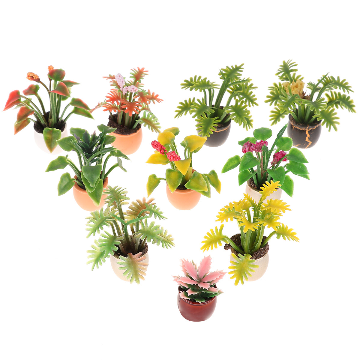 10 pièces de mini bonsaïs colo - Bonsai Garden Europe avis et prix