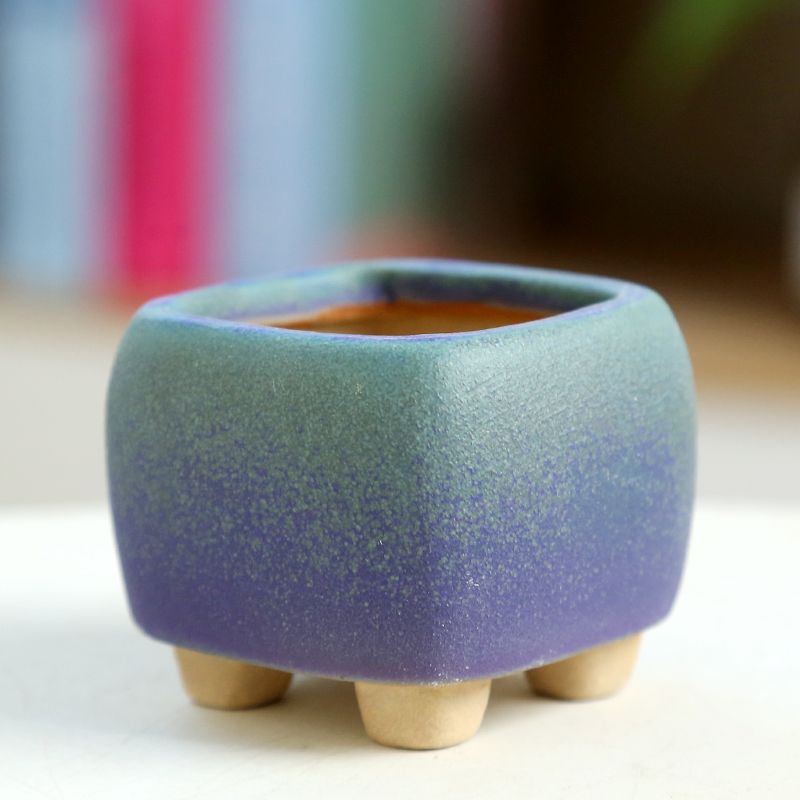 Mini pot de fleurs charnu en c - Training Pot Ceramic avis et prix