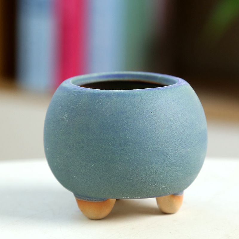 Mini pot de fleurs charnu en c - Training Pot Ceramic avis et prix