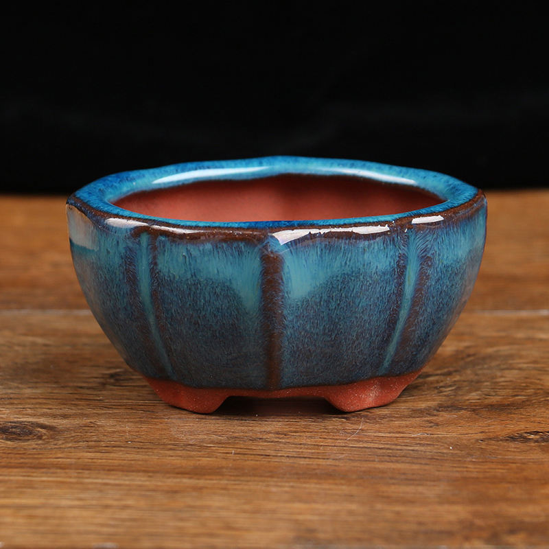 Pot de fleurs bonsaï de style  - Training Pot Ceramic avis et prix