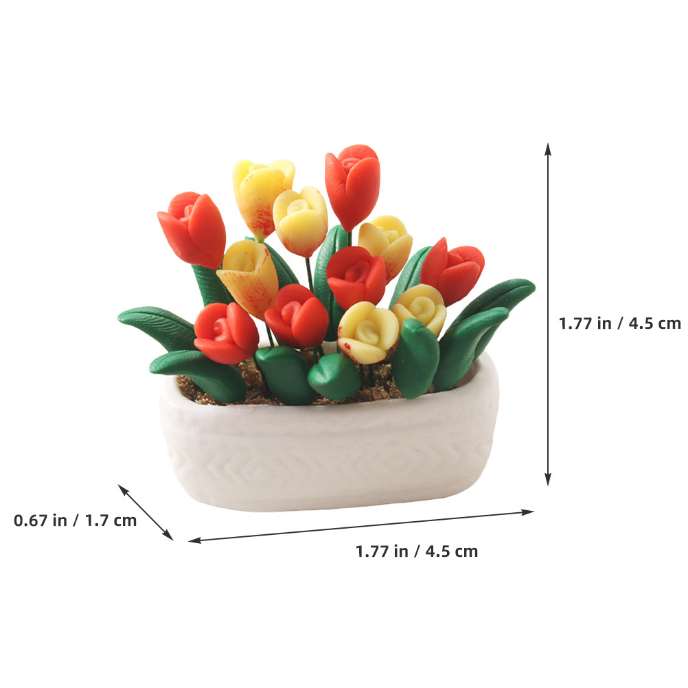 Mini tulipe en pot pour maison - Bonsai Garden Europe avis et prix