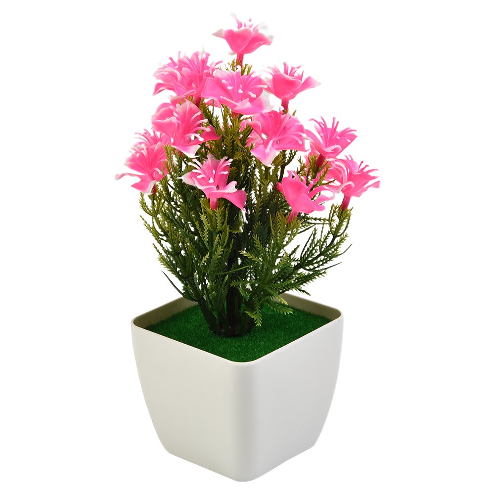 Nouveaux Accessoires de Haute  - Bonsai Garden China avis et prix