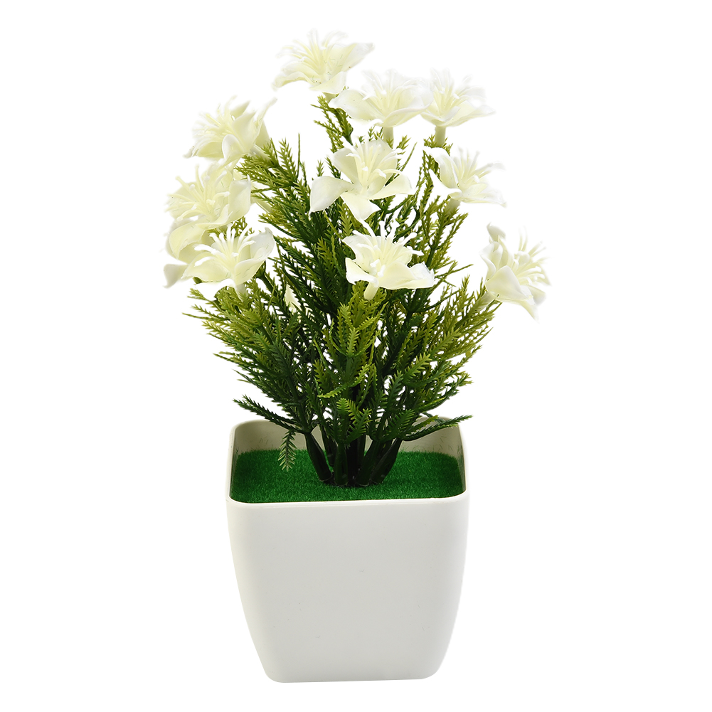 Nouveaux Accessoires de Haute  - Bonsai Garden China avis et prix