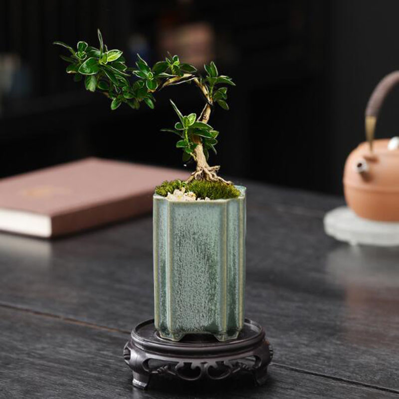 Pot de fleurs carré en porcela - Bonsai Garden Europe avis et prix