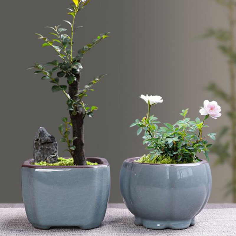 Pot de fleur en céramique rétr - Bonsai Garden Kit avis et prix