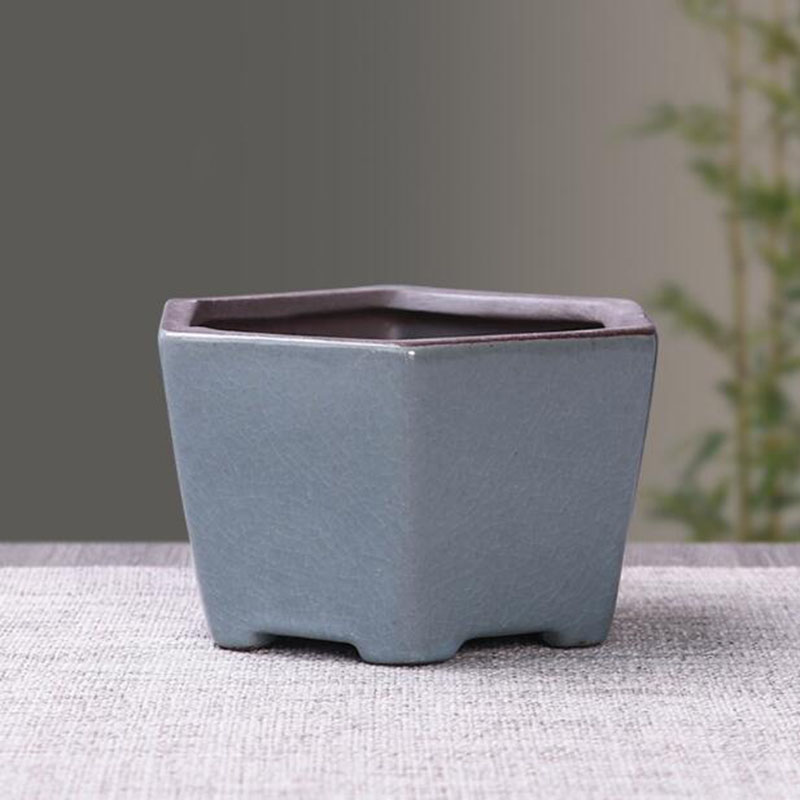 Pot de fleur en céramique rétr - Bonsai Garden Kit avis et prix
