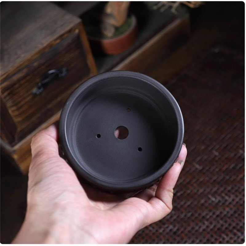 Pot à bonsaï rond en céramique - Bonsai Garden Kit avis et prix