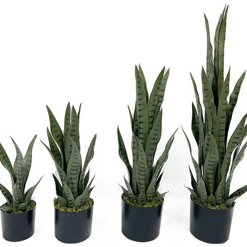 Plante artificielle Sansevieri - Bonsai Garden Kit avis et prix