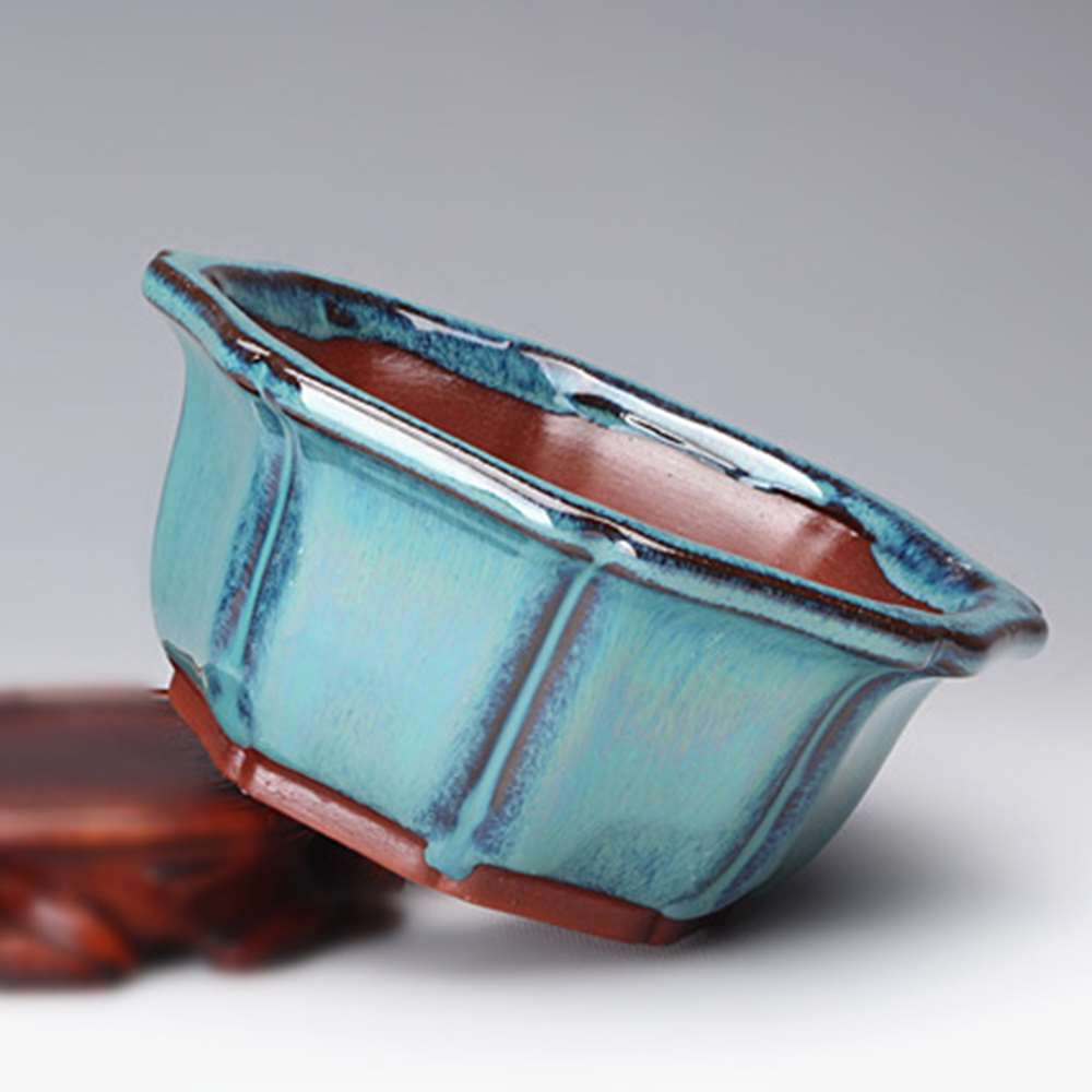 Pots à Bonsaï de Style Chinois - Training Pot Ceramic avis et prix