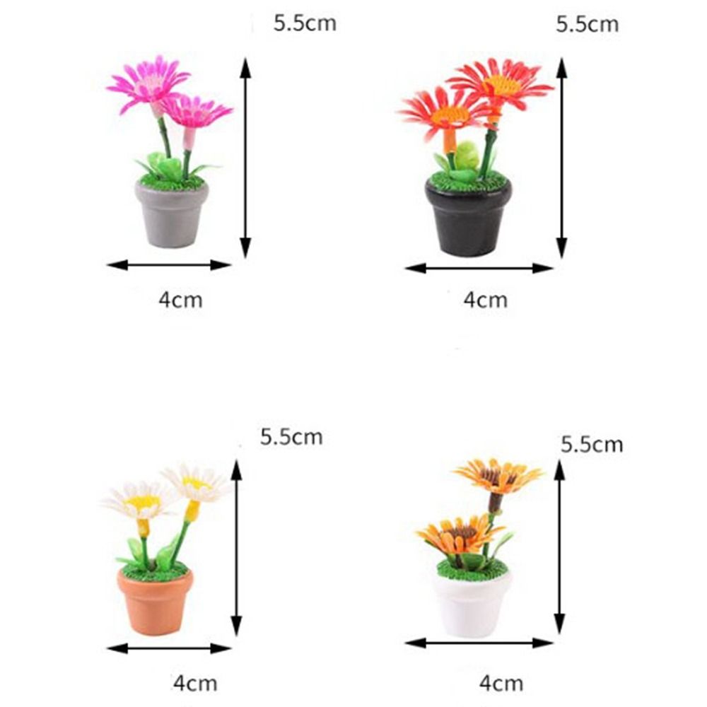 Plante Miniature en Pot pour m - Bonsai Garden Miniature avis et prix