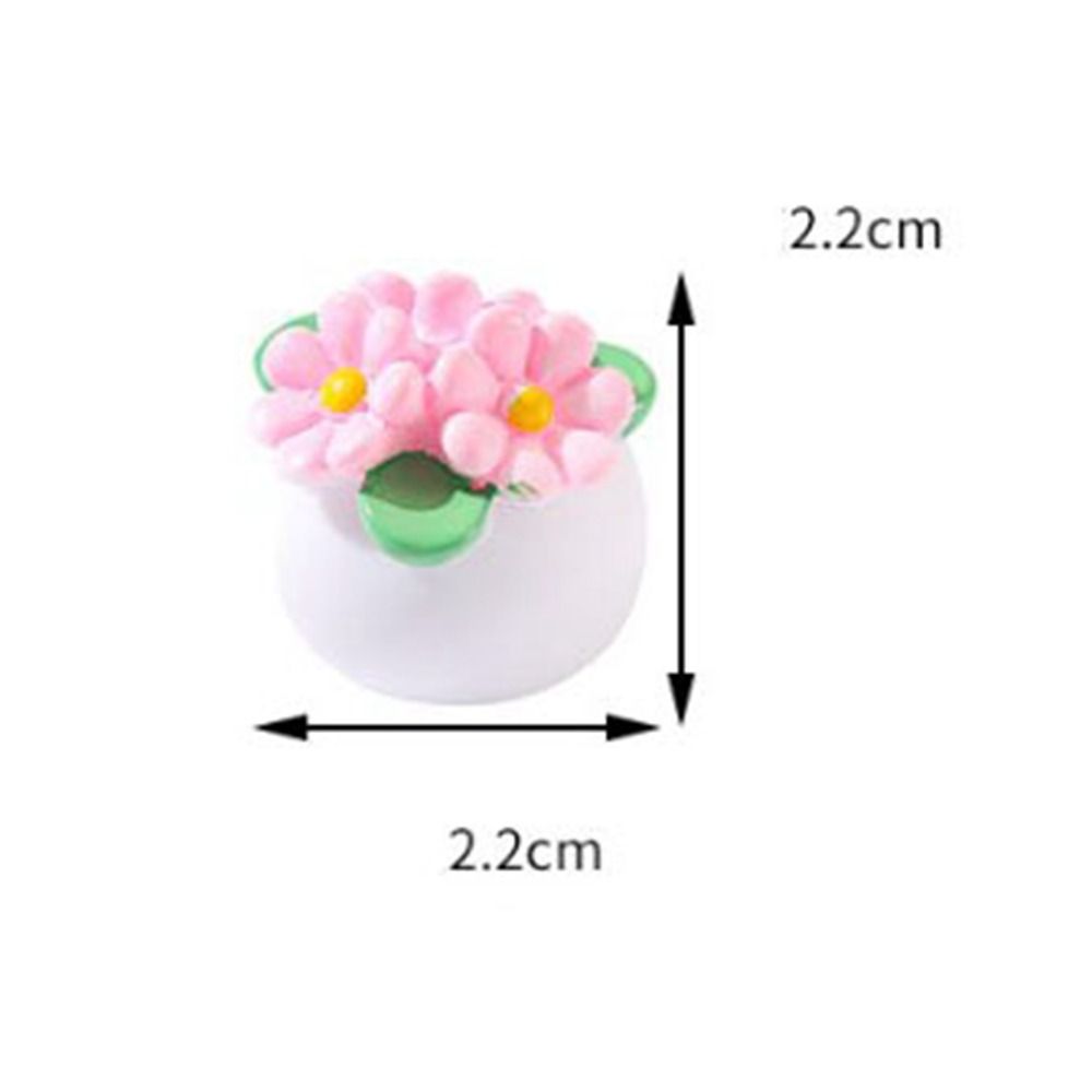 Plante Miniature en Pot pour m - Bonsai Garden Miniature avis et prix