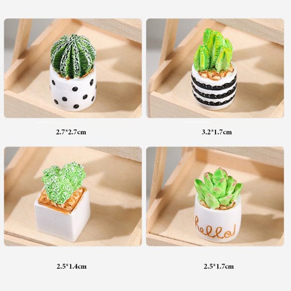 Plante Miniature en Pot pour m - Bonsai Garden Miniature avis et prix