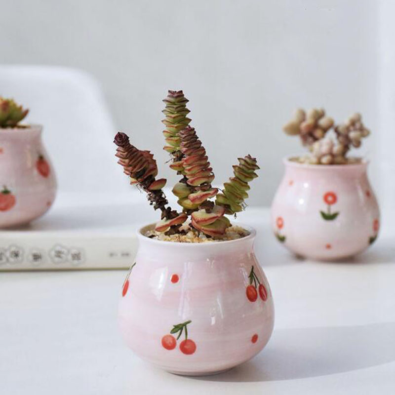 Pot de plantes charnues en for - Bonsai Garden Europe avis et prix