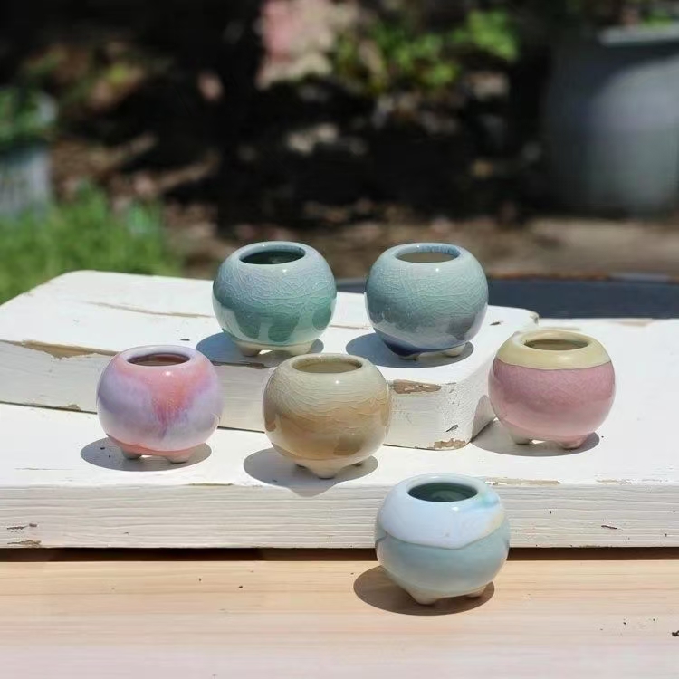 6 pièces Mini pot de fleurs su - Bonsai Garden Kit avis et prix