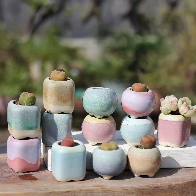 6 pièces Mini pot de fleurs su - Bonsai Garden Kit avis et prix