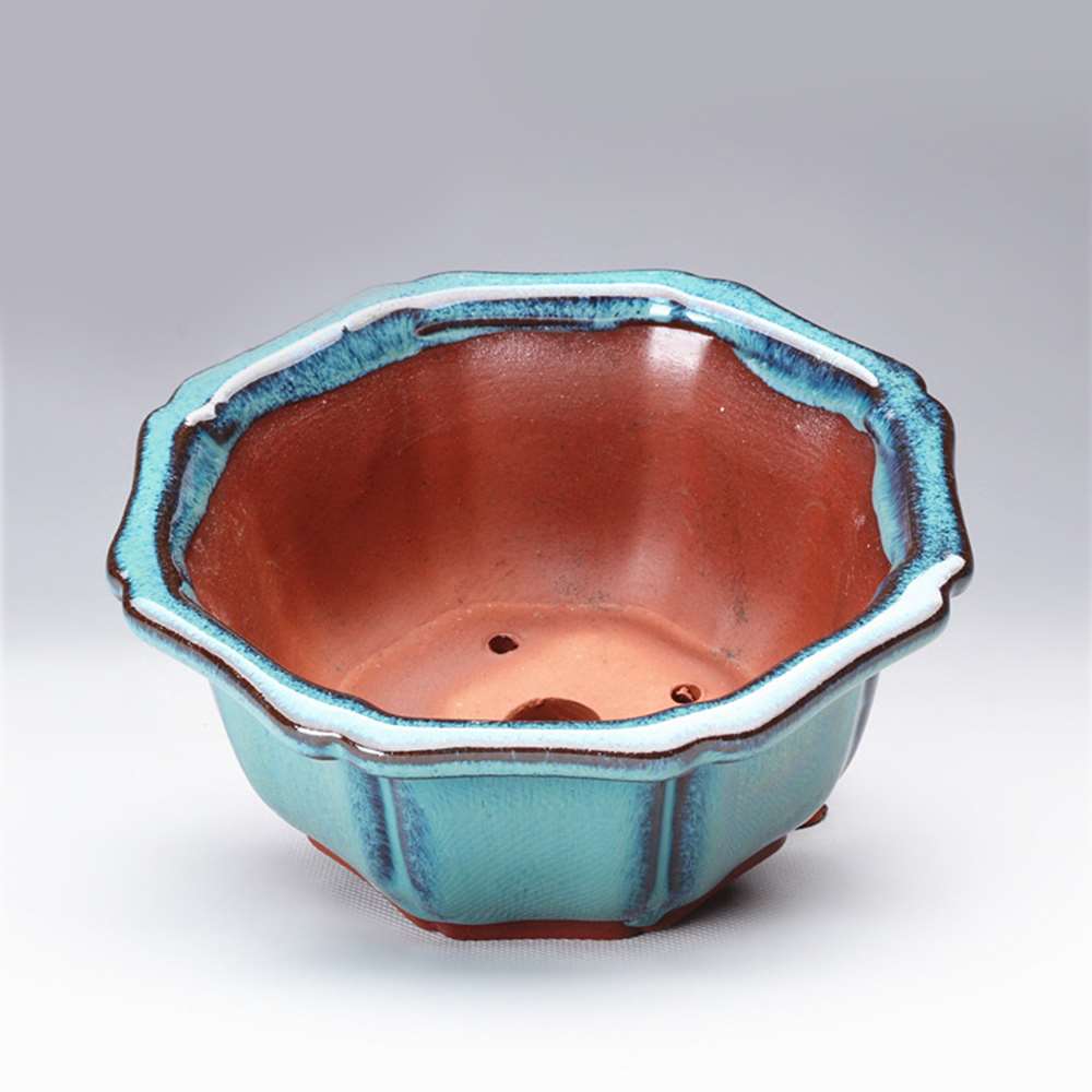 Pots à Bonsaï de style chinois - Training Pot Ceramic avis et prix